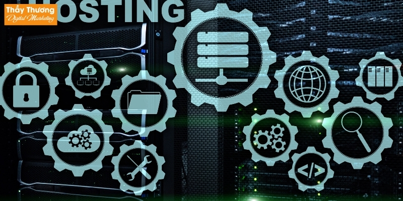 Hosting Và Domain